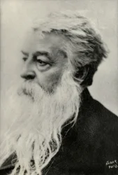 Porträt von Ernest Messonnier