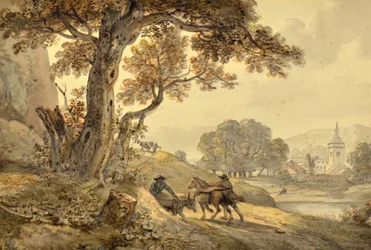 Landschaft