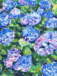 Bunte Hortensienblüten