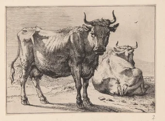 Eine Kuh stehend und eine andere liegend, aus Verschiedene Ochsen und Kühe