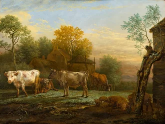 Rinder auf einer Wiese