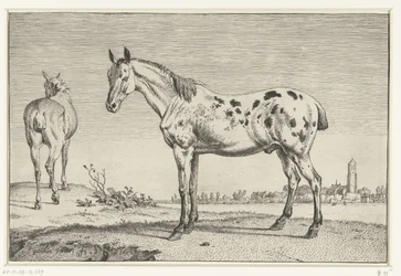 Das geschnittene Pferd