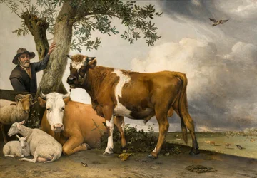 Der Stier