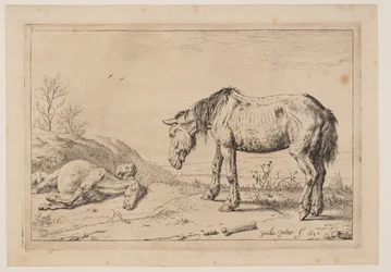 Das abgenutzte Pferd, aus der Serie von Pferden