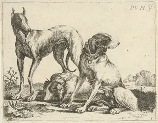 Drei Hunde