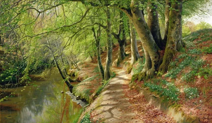 Waldige Flusslandschaft