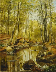 Bewaldete Flusslandschaft