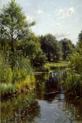 Schilf am See