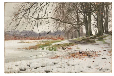 Verschneite Landschaft