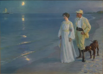 Sommeraften ved Skagens Strand