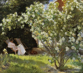Rosen. Marie Krøyer sitzt im Liegestuhl im Garten von Frau Bendsens Haus