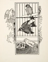 Ein wohltätiger Kanarienvogel, aus Hundert Anekdoten über Tiere, veröffentlicht 1924