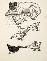 Eine ungewöhnliche Amme, aus Hundert Anekdoten über Tiere, veröffentlicht 1924