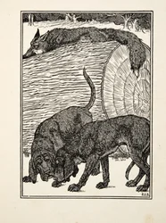 Schlau wie ein Fuchs, aus Hundert Anekdoten über Tiere, veröffentlicht 1924