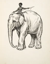 Reue, aus Hundert Anekdoten über Tiere, veröffentlicht 1924
