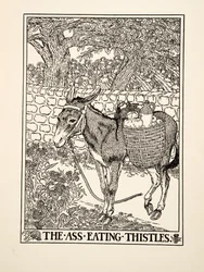 Der Esel, der Disteln frisst, aus Hundert Fabeln von Aesop, veröffentlicht 1903