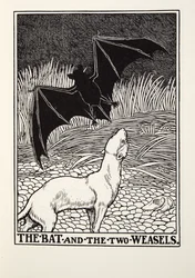 Die Fledermaus und die zwei Wiesel, aus Fontaine Fabeln, veröffentlicht 1905