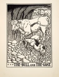Der Stier und die Ziege, aus Hundert Fabeln von Äsop, veröffentlicht 1903 (Gravur)