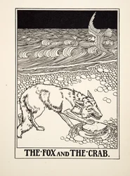Der Fuchs und die Krabbe, aus 