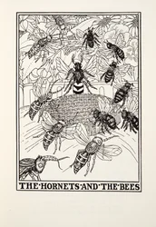 Die Hornissen und die Bienen, aus Fontaine Fabeln, veröffentlicht 1905 (Gravur)