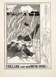 Die Lerche und ihre Jungen, aus Hundert Fabeln von Äsop, veröffentlicht 1903 (Gravur)