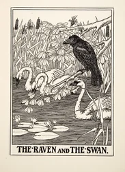 Der Rabe und der Schwan, aus Hundert Fabeln von Aesop, veröffentlicht 1903