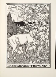 Der Hirsch und die Rebe, aus Fontaine Fabeln, veröffentlicht 1905