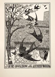 Die Schwalbe und andere Vögel, aus Hundert Fabeln von Äsop, veröffentlicht 1903