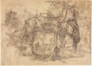 Tierskizzen (verso)