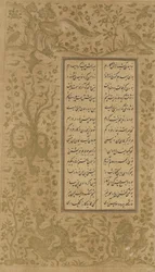 Weinreben- und Vogeldesign, Folio aus Yusuf u-Zulaikha von Jami (gest. 1492), Qazvin, Iran, Safawiden-Dynastie, 1557