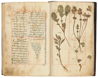Hassan Bin Baqir Bin Jarrah: Gulzar Al-Rayahin, Qajar Iran
