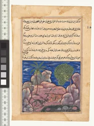 Geschichte XV, Die Katze greift die Mäuse an, die den Löwen stören, Illustration aus dem "Tuti-Nama"