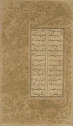 Der Simurgh, Drache, Tiere und Vögel in einer Landschaft, Folio aus Yusuf u-Zulaikha von Jami (gest. 1492), Qazvin, Iran, Safawiden-Dynastie, 1557