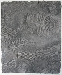 Lebenszeichen XVI