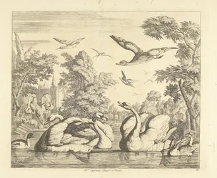 Drei Schwäne und andere Vögel an einem Teich