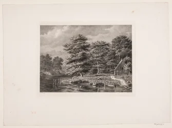 Fluss zwischen bewaldeten Ufern