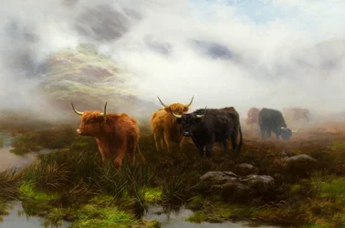 Moorland und Nebel