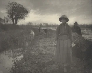 Heu im Sumpf polen, 1886. Schöpfer: Dr. Peter Henry Emerson, Thomas Frederick Goodall