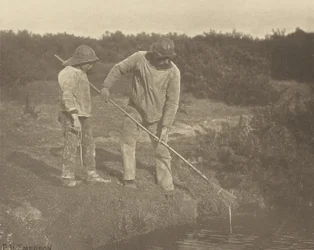 Aal-Fischen in den Gewässern von Suffolk