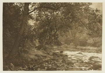 In der Nähe von Reynard