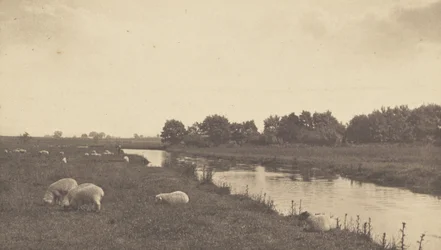 Am Fluss Bure