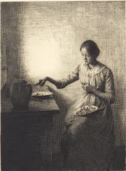 Pfifferlinge