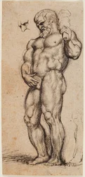 Herkules