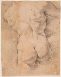 Männlicher Torso von hinten gesehen