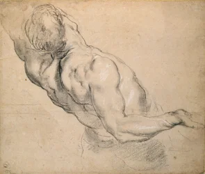 Studie eines nackten männlichen Torsos, 1600-1640
