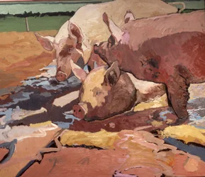 Schweine im Sonnenlicht und Schlamm