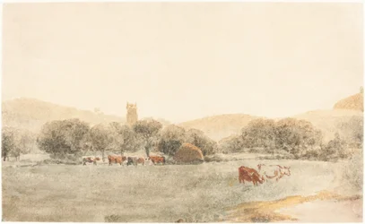 Eine Wiese mit Vieh in der Nähe von Glastonbury