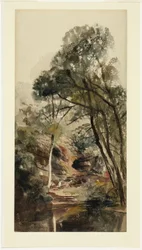 Eine bewaldete Flusslandschaft