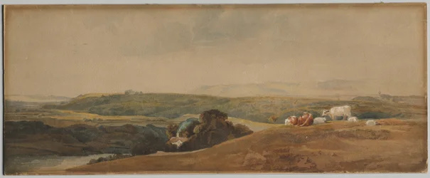 Berge und Vieh
