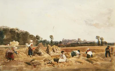 Kornfeld, Windsor
